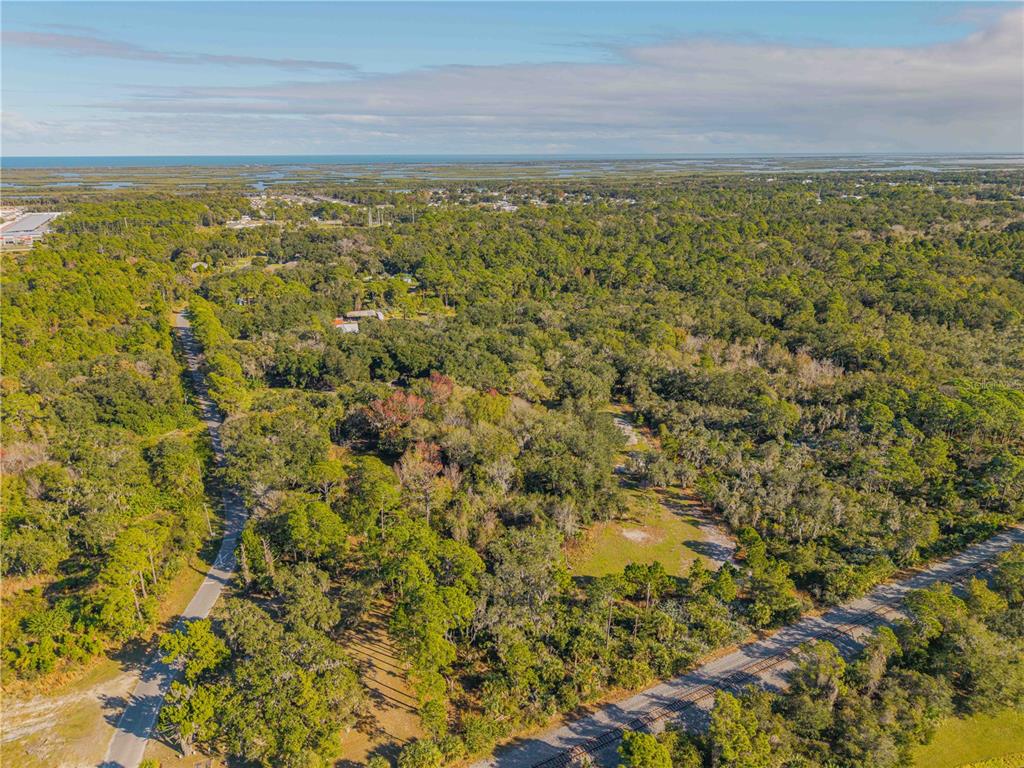 480 Clinton Cemetery Road Edgewater, FL 32141 - Photo 5 of 29 a view of a green field