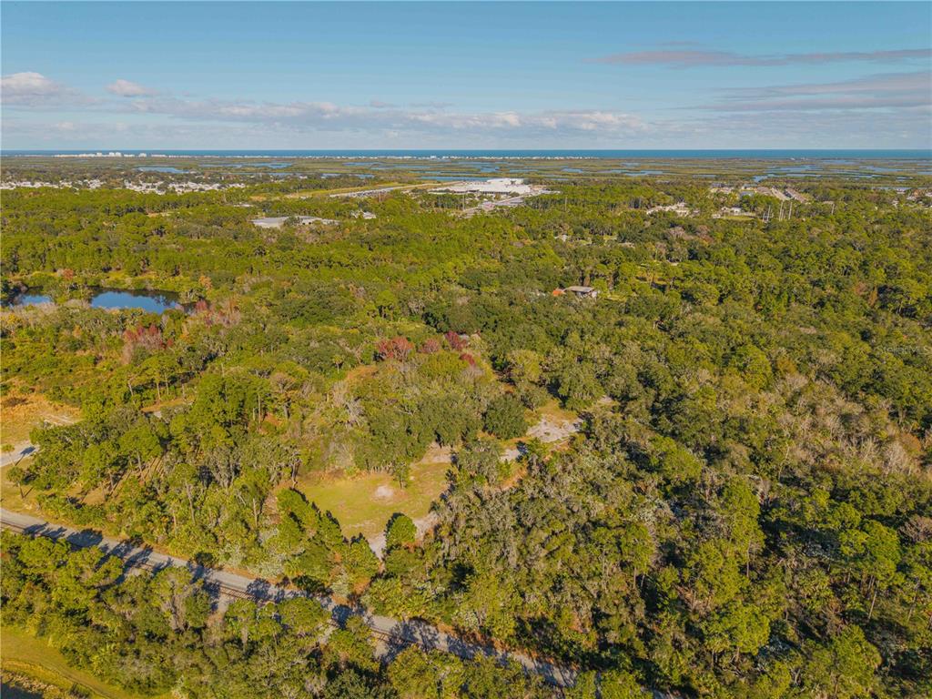 480 Clinton Cemetery Road Edgewater, FL 32141 - Photo 7 of 29 a view of an ocean