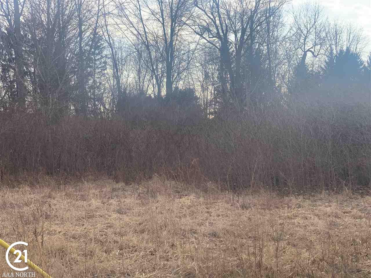 79951 Coon Creek Road Armada, MI 48005 - Photo 13 of 27 Gallery Image 13