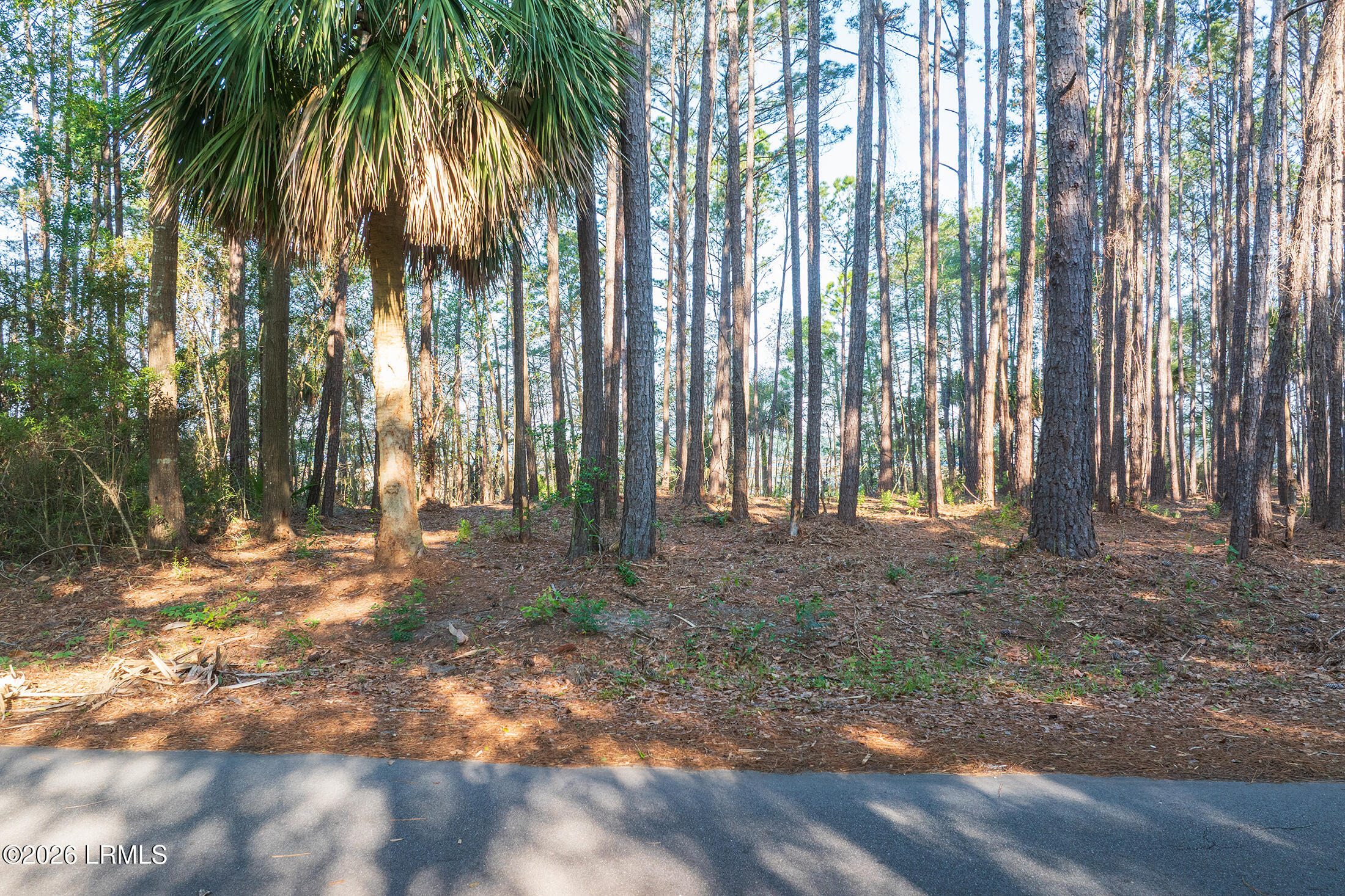 509 State Rd S-7-50 Okatie, SC 29909 - Photo 19 of 24 DJI_20260514084050_0063_D copy