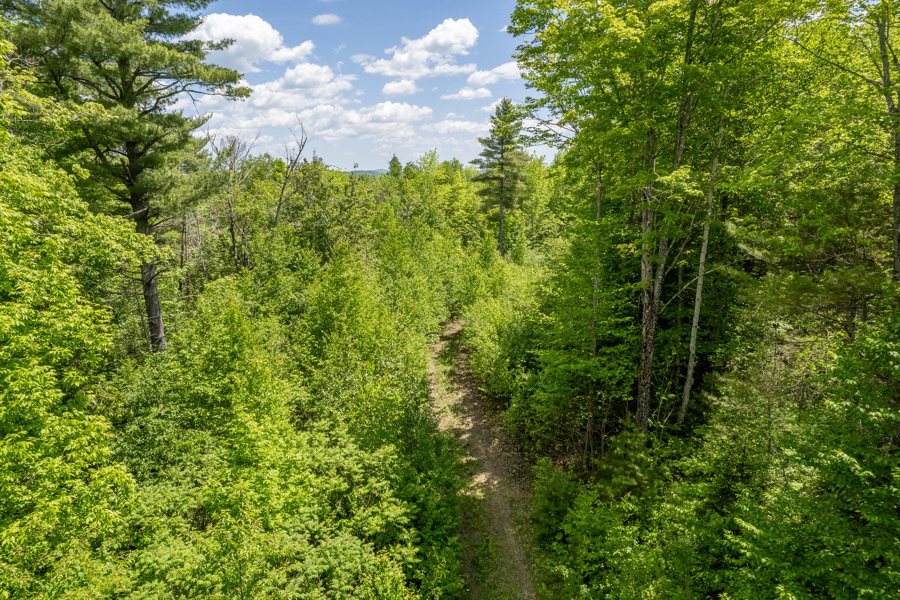 0 East Chase Road Brooks, ME 04921 - Photo 7 of 11 0 East Chase Rd_106