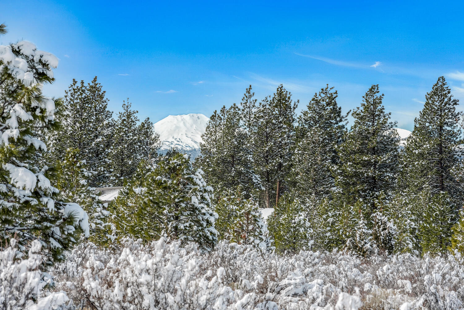 18945 Macalpine Loop Bend, OR 97702 - Photo 7 of 25 OReilly_20240306_17_287935_a_72ppi
