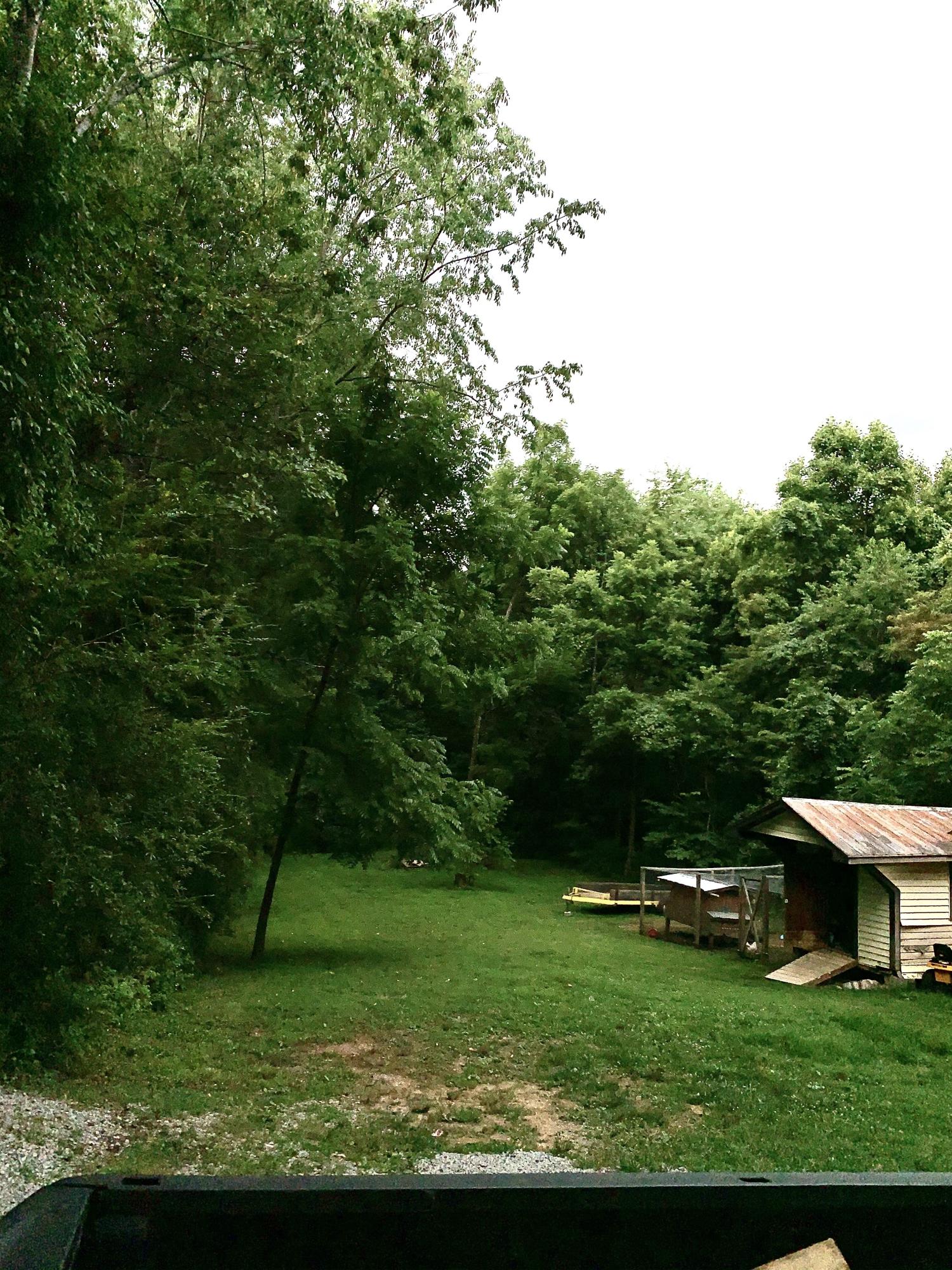 157 Big Springs Road Elizabethton, TN 37643 - Photo 3 of 30 IMG_4374