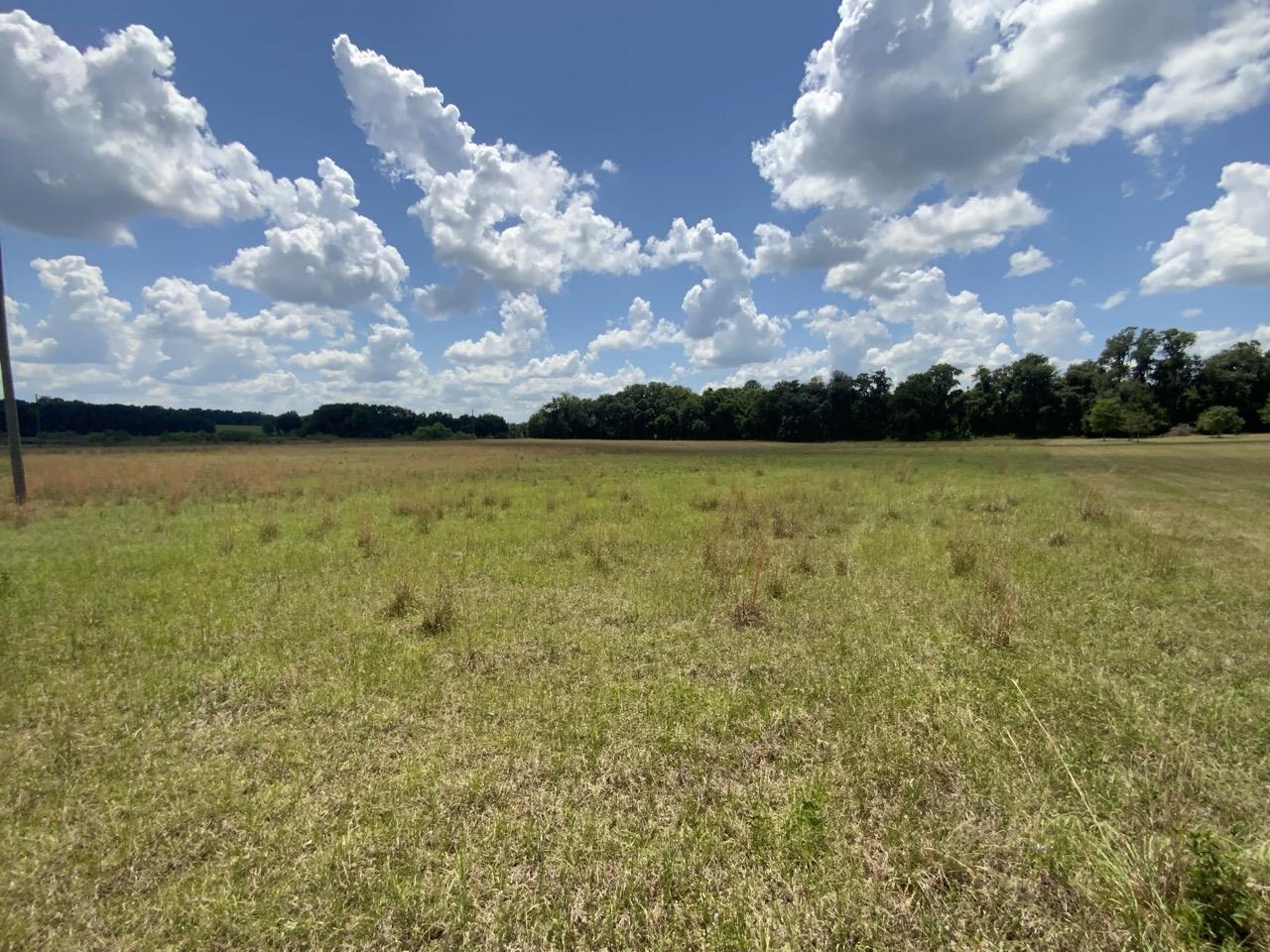 Vacant Northwest St Thomas Church Road Madison, FL 32340 - Photo 12 of 13 Gallery Image 12