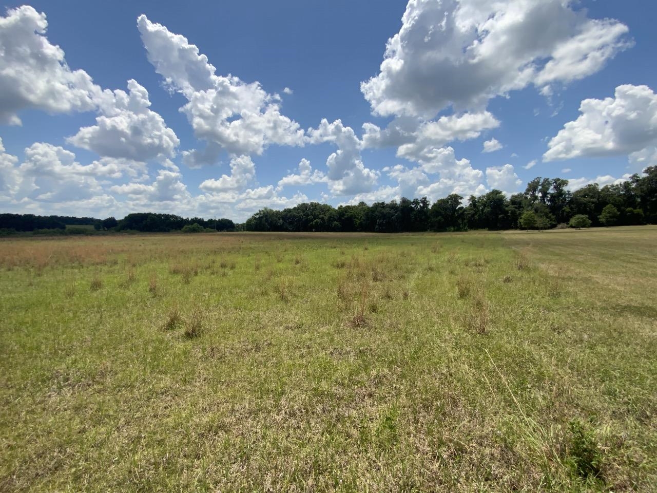 Vacant Northwest St Thomas Church Road Madison, FL 32340 - Photo 13 of 13 Gallery Image 13