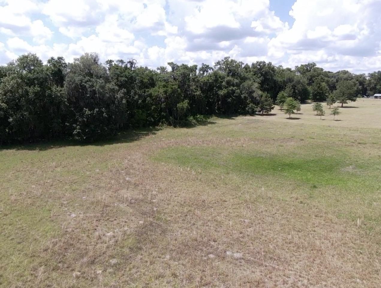 Vacant Northwest St Thomas Church Road Madison, FL 32340 - Photo 7 of 13 Gallery Image 7