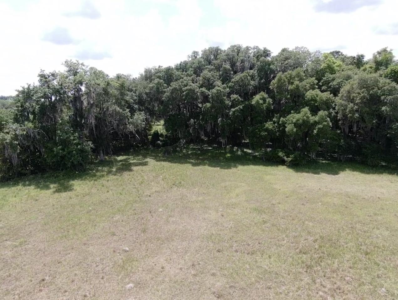 Vacant Northwest St Thomas Church Road Madison, FL 32340 - Photo 8 of 13 Gallery Image 8