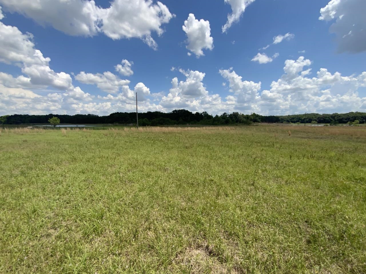 Vacant Northwest St Thomas Church Road Madison, FL 32340 - Photo 10 of 13 Gallery Image 10