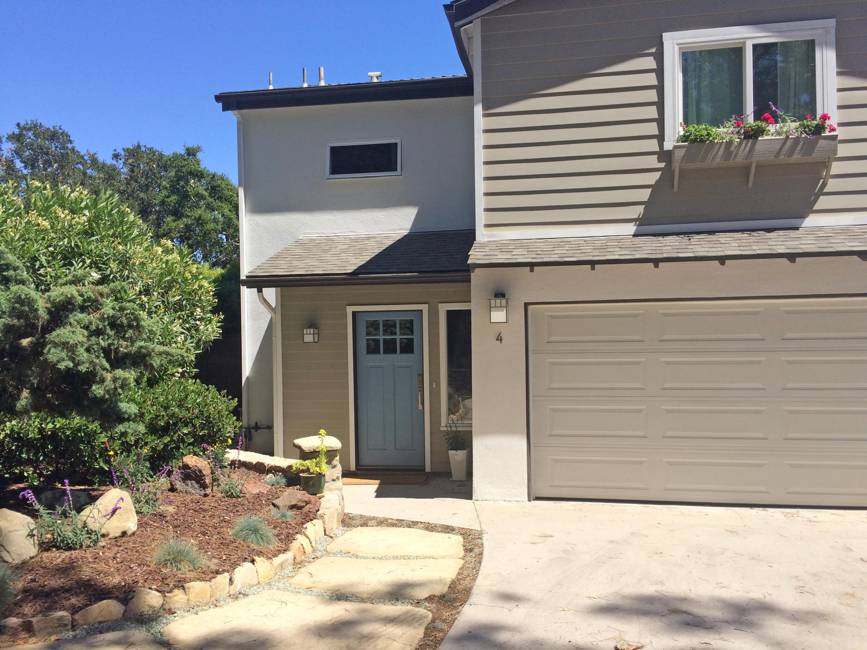 a potted plant sitting in front of a house