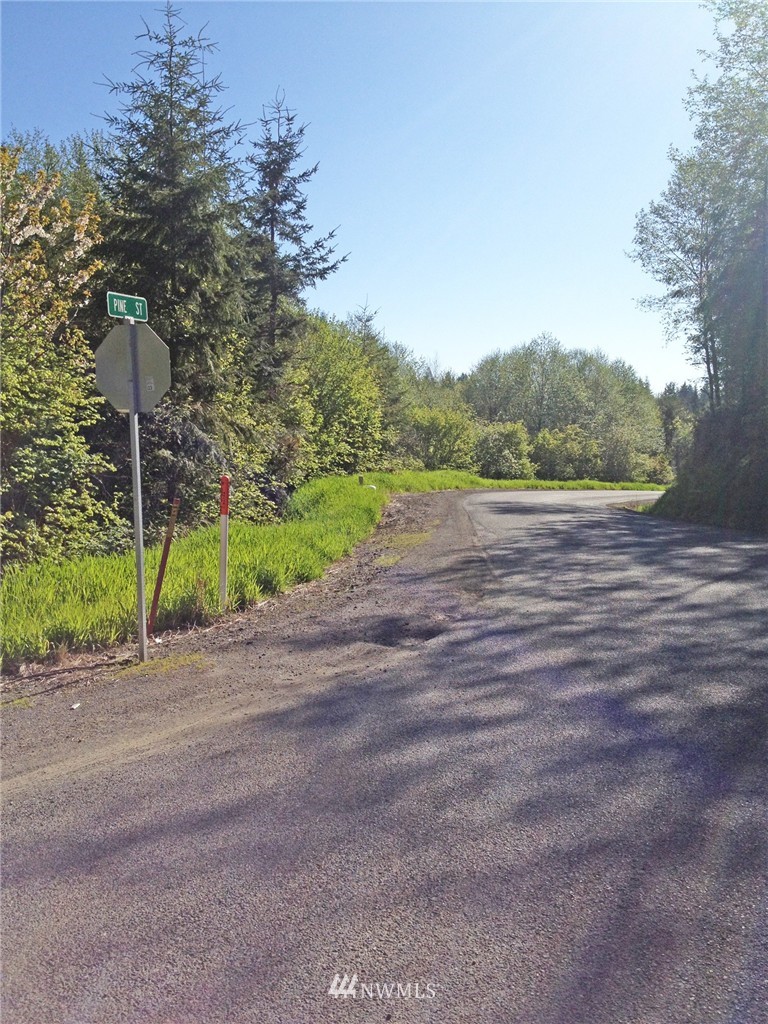 10 Strawberry Hill Road Elma, WA 98541 - Photo 4 of 10 Gallery Image 4