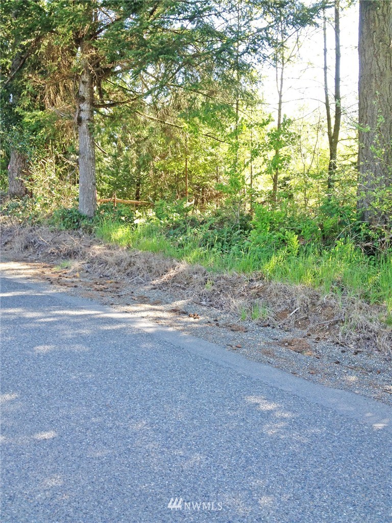 10 Strawberry Hill Road Elma, WA 98541 - Photo 7 of 10 Gallery Image 7
