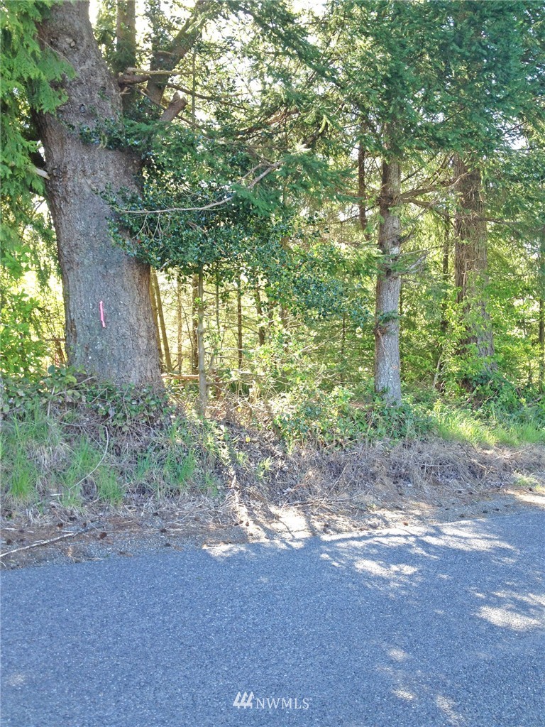 10 Strawberry Hill Road Elma, WA 98541 - Photo 9 of 10 Gallery Image 9