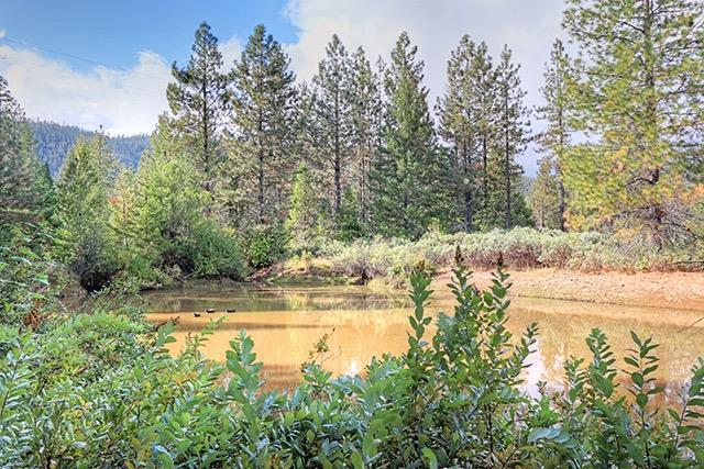 1588 Lone Mountain Road O'Brien, OR 97534 - Photo 21 of 23 Additional Photo
