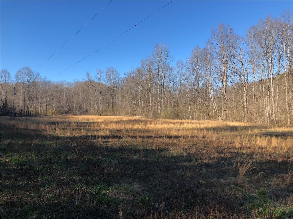 0 Phoenix Road Pickens, SC 29671 - Photo 1 of 25