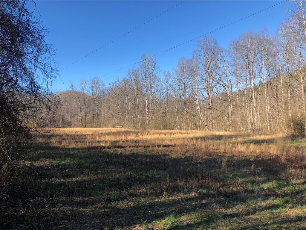 0 Phoenix Road Pickens, SC 29671 - Photo 2 of 25