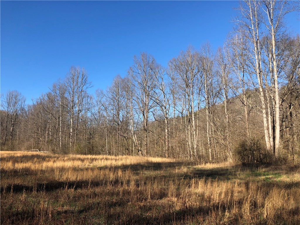 0 Phoenix Road Pickens, SC 29671 - Photo 3 of 25
