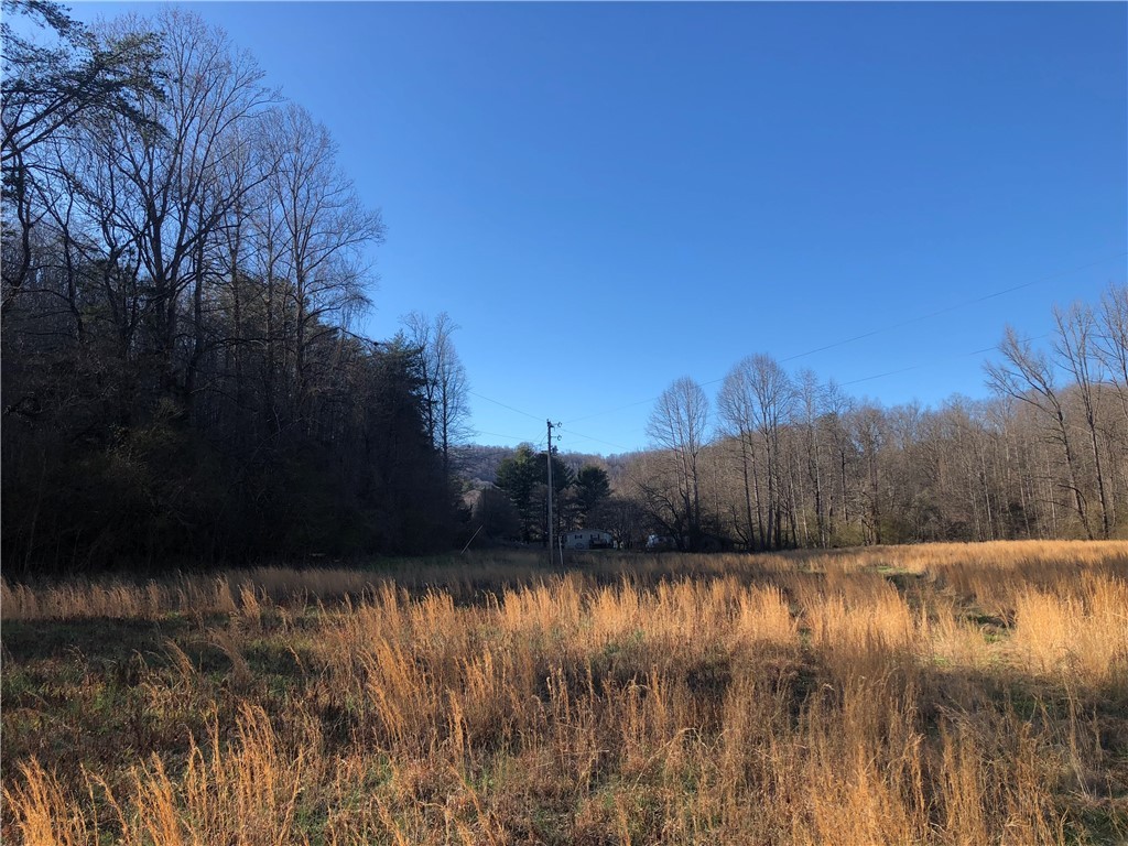0 Phoenix Road Pickens, SC 29671 - Photo 5 of 25