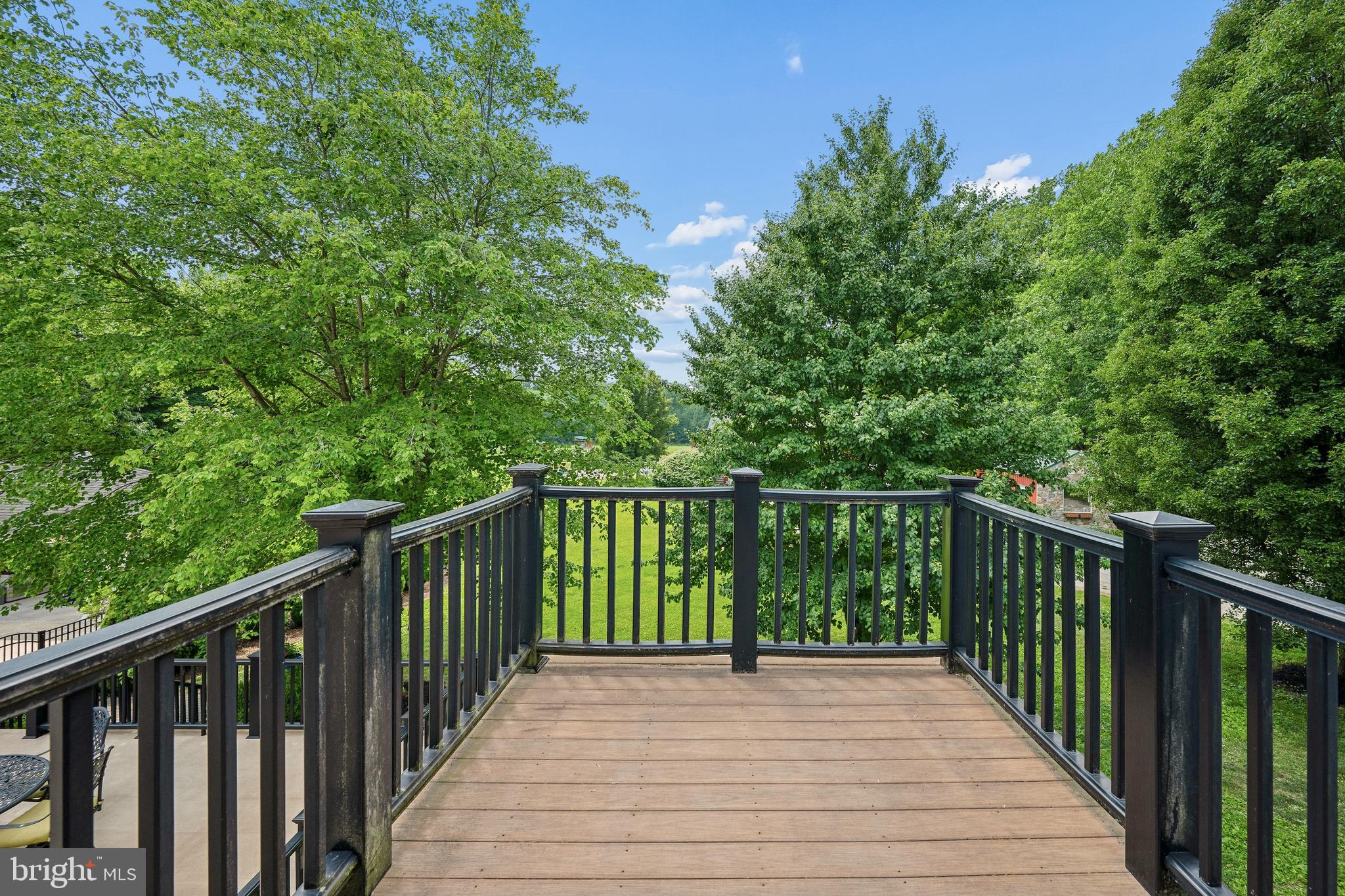 55 Greenmount Road Rising Sun, MD 21911 - Photo 32 of 105 Private primary balcony overlooking the pastures