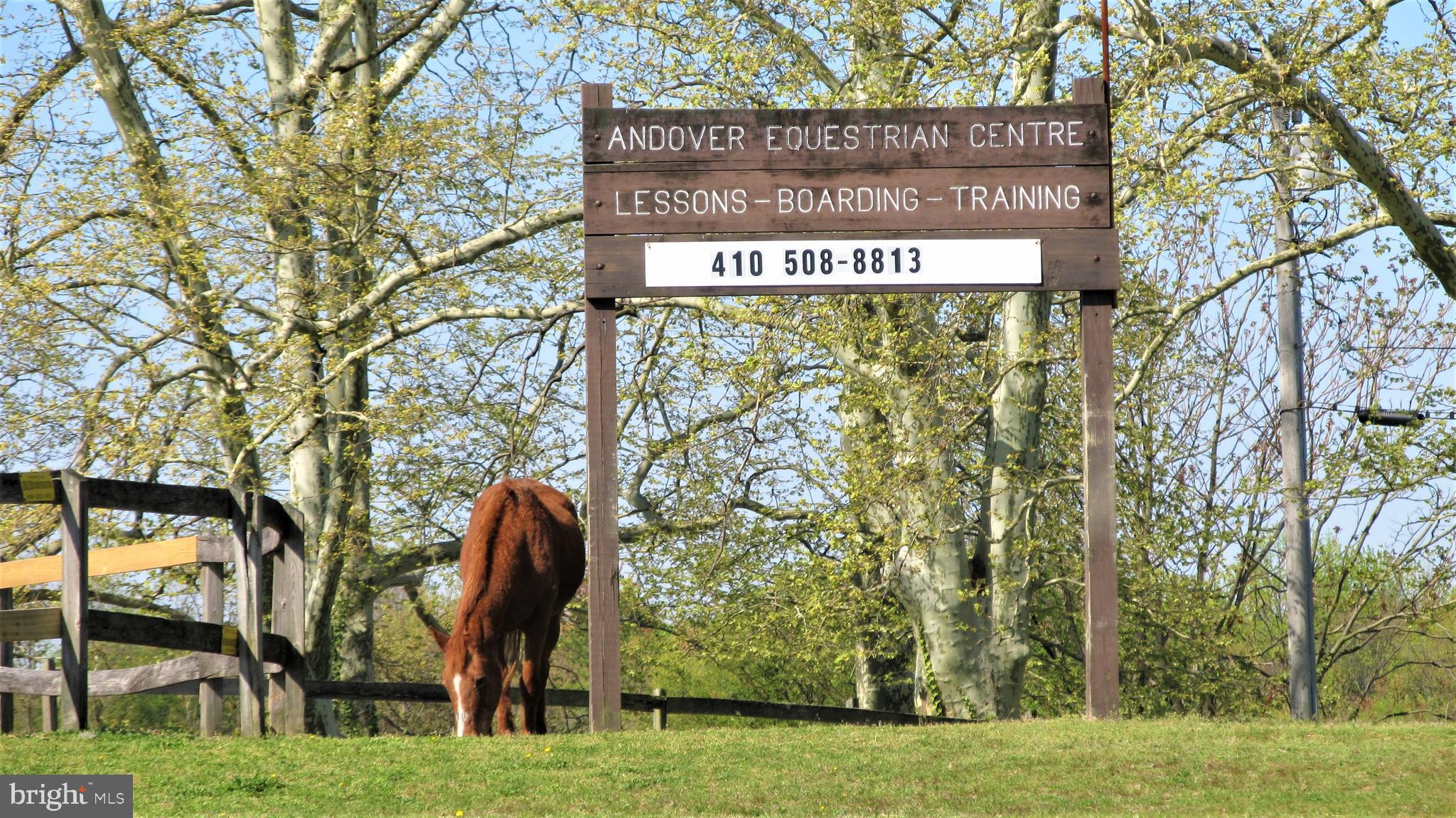 405 Homewood Road Linthicum Heights, MD 21090 - Photo 40 of 44 Equestrian Centre