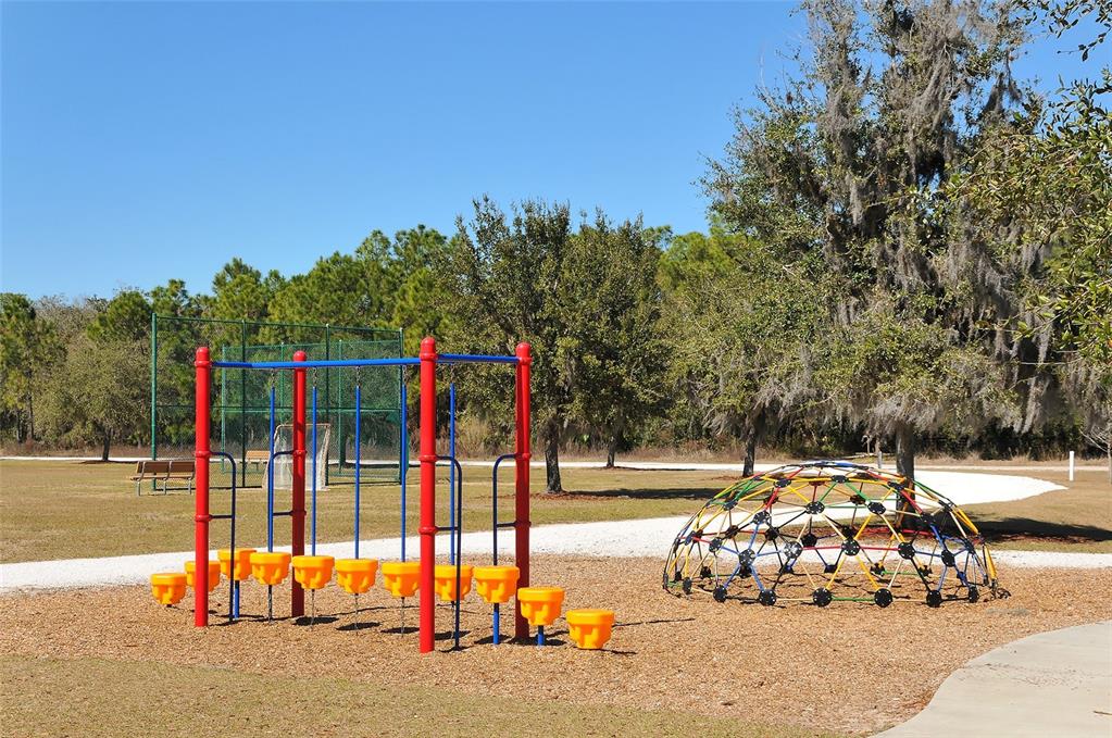 6213 Willet Court Lakewood Ranch, FL 34202 - Photo 58 of 74 a view of a park with large trees