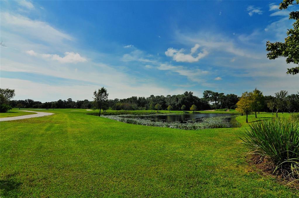 6213 Willet Court Lakewood Ranch, FL 34202 - Photo 62 of 74 a view of a golf course with a lake