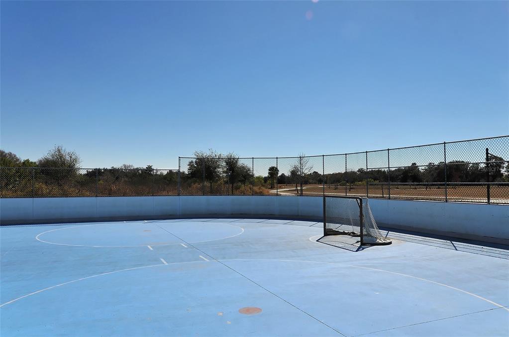 6213 Willet Court Lakewood Ranch, FL 34202 - Photo 67 of 74