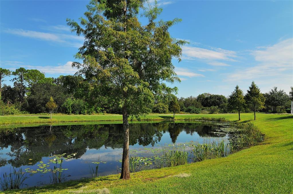 6213 Willet Court Lakewood Ranch, FL 34202 - Photo 68 of 74 a view of a lake with a big yard