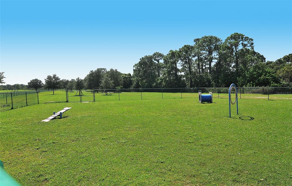 6213 Willet Court Lakewood Ranch, FL 34202 - Photo 71 of 74 a view of a field with tall trees