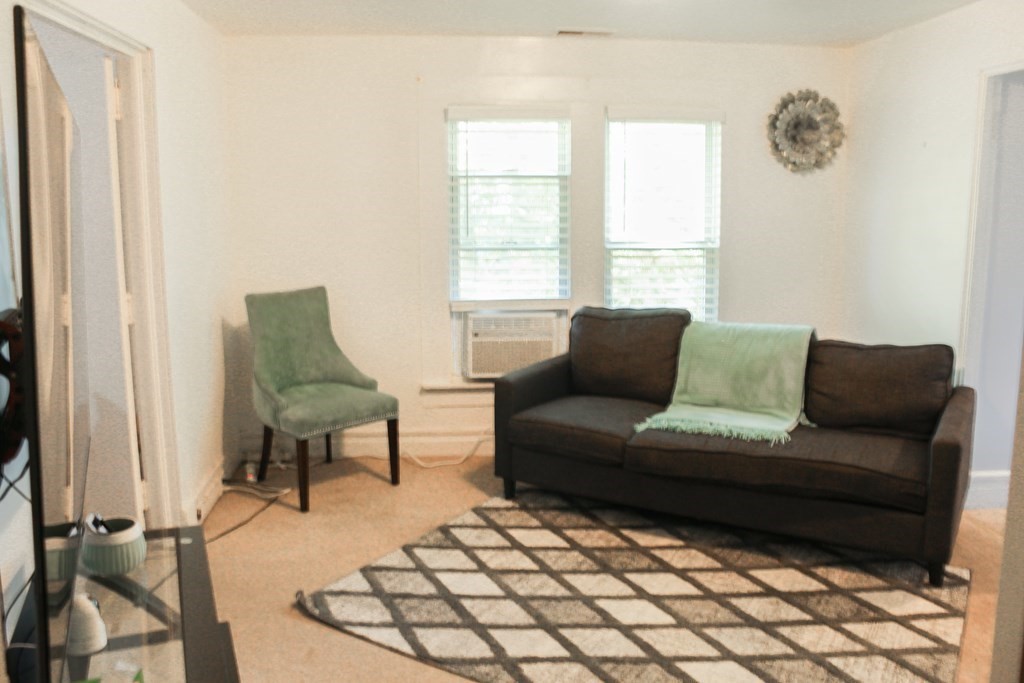 14 Cleveland Street Springfield, MA 01104 - Photo 3 of 14 a living room with furniture and a window