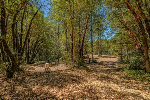 $325,000 | 18200 Chester's Place, Pine Grove, CA 95665