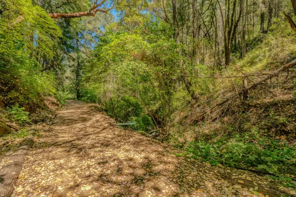 $325,000 | 18200 Chester's Place, Pine Grove, CA 95665