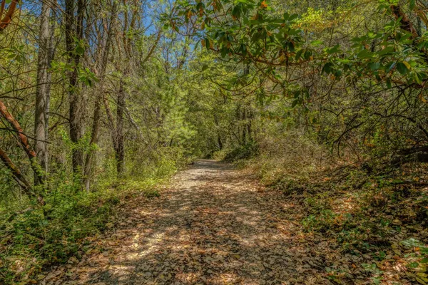 $325,000 | 18200 Chester's Place, Pine Grove, CA 95665