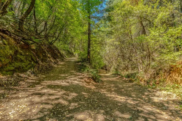 $325,000 | 18200 Chester's Place, Pine Grove, CA 95665