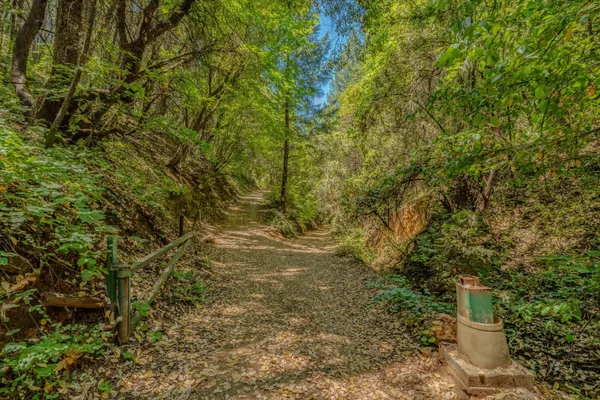 $325,000 | 18200 Chester's Place, Pine Grove, CA 95665