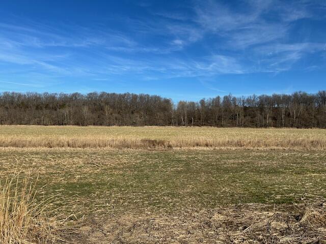 0 Holly Road Pierce City, MO 65723 - Photo 3 of 11 IMG_5059