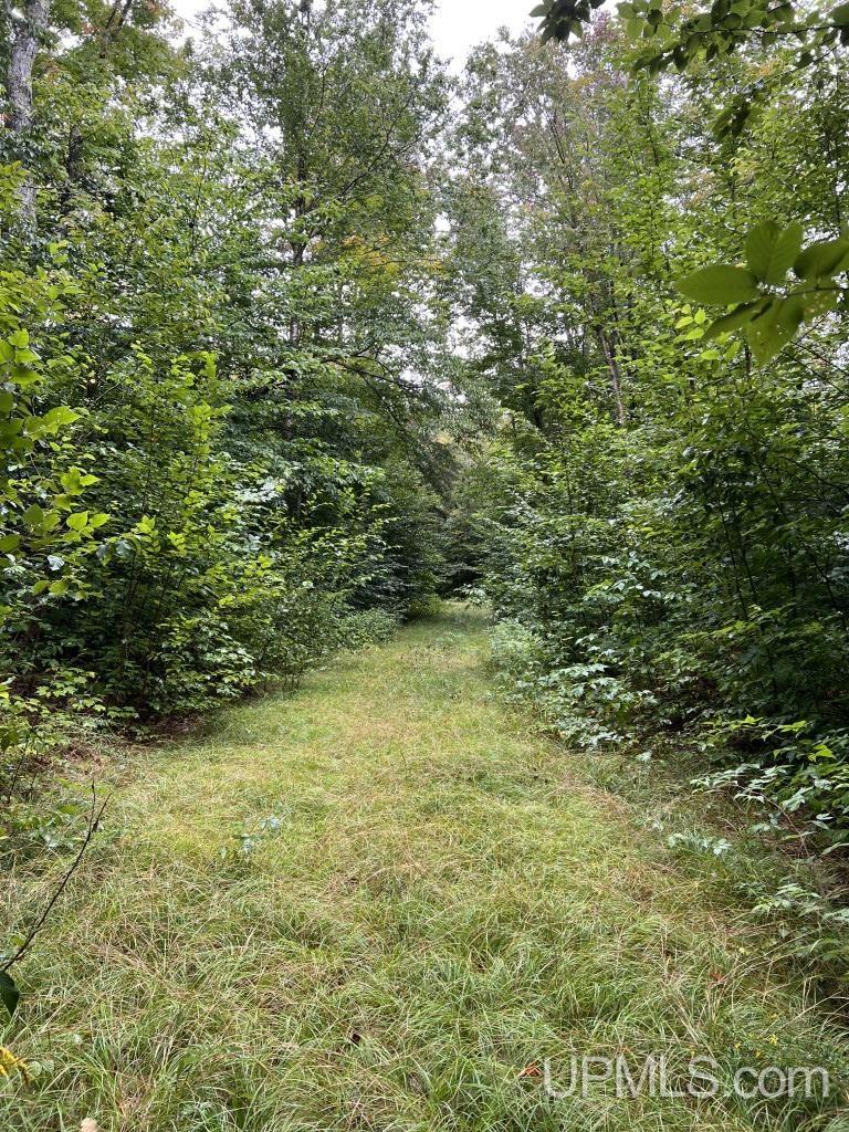 454 Creighton Trail Road Shingleton, MI 49884 - Photo 13 of 26