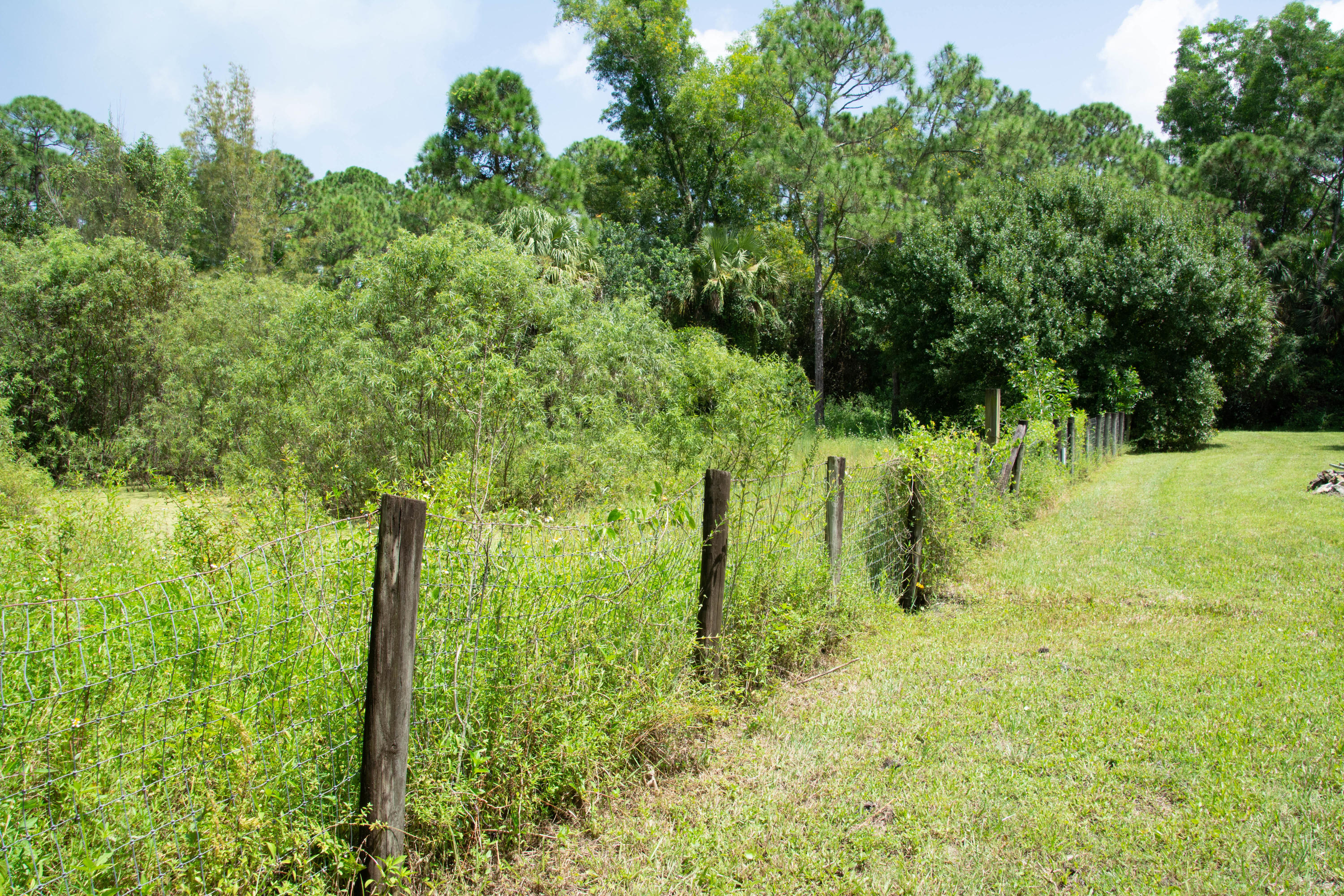 12563 Old Indiantown Road Jupiter, FL 33478 - Photo 18 of 54 DSC_7755