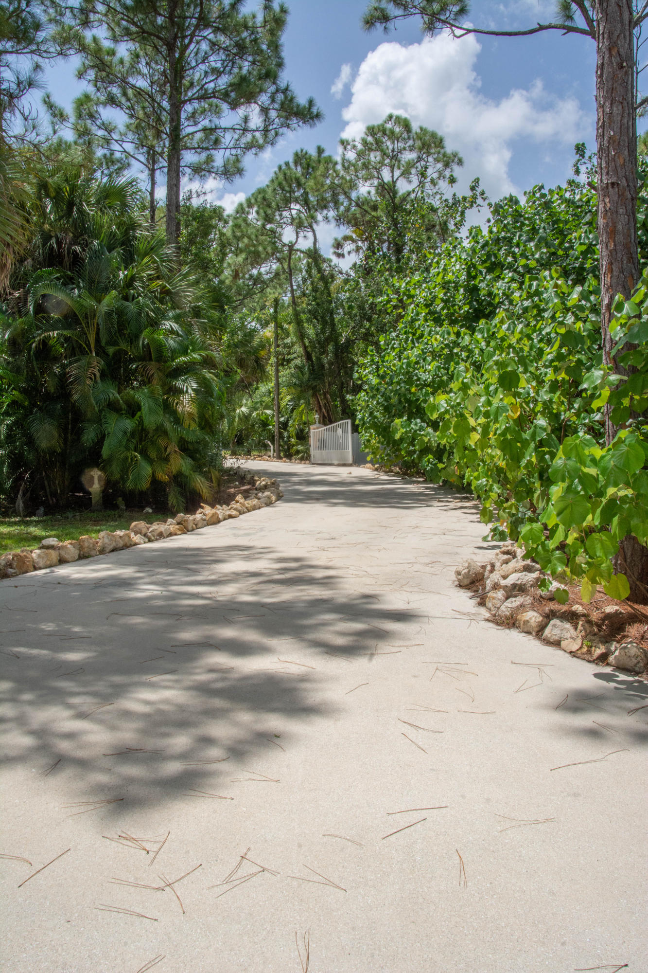 12563 Old Indiantown Road Jupiter, FL 33478 - Photo 7 of 54 DSC_7751