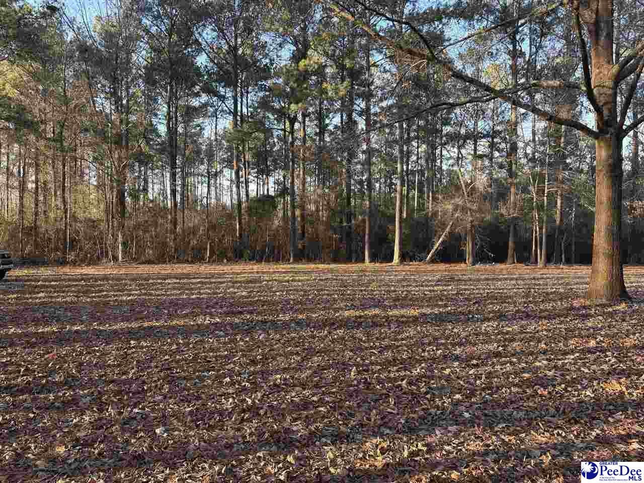 1325 Cubie Road Effingham, SC 29541 - Photo 8 of 15 Gallery Image 8