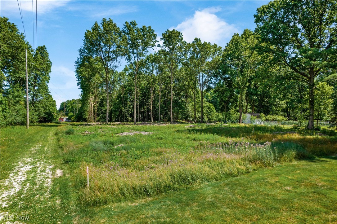 View of nature