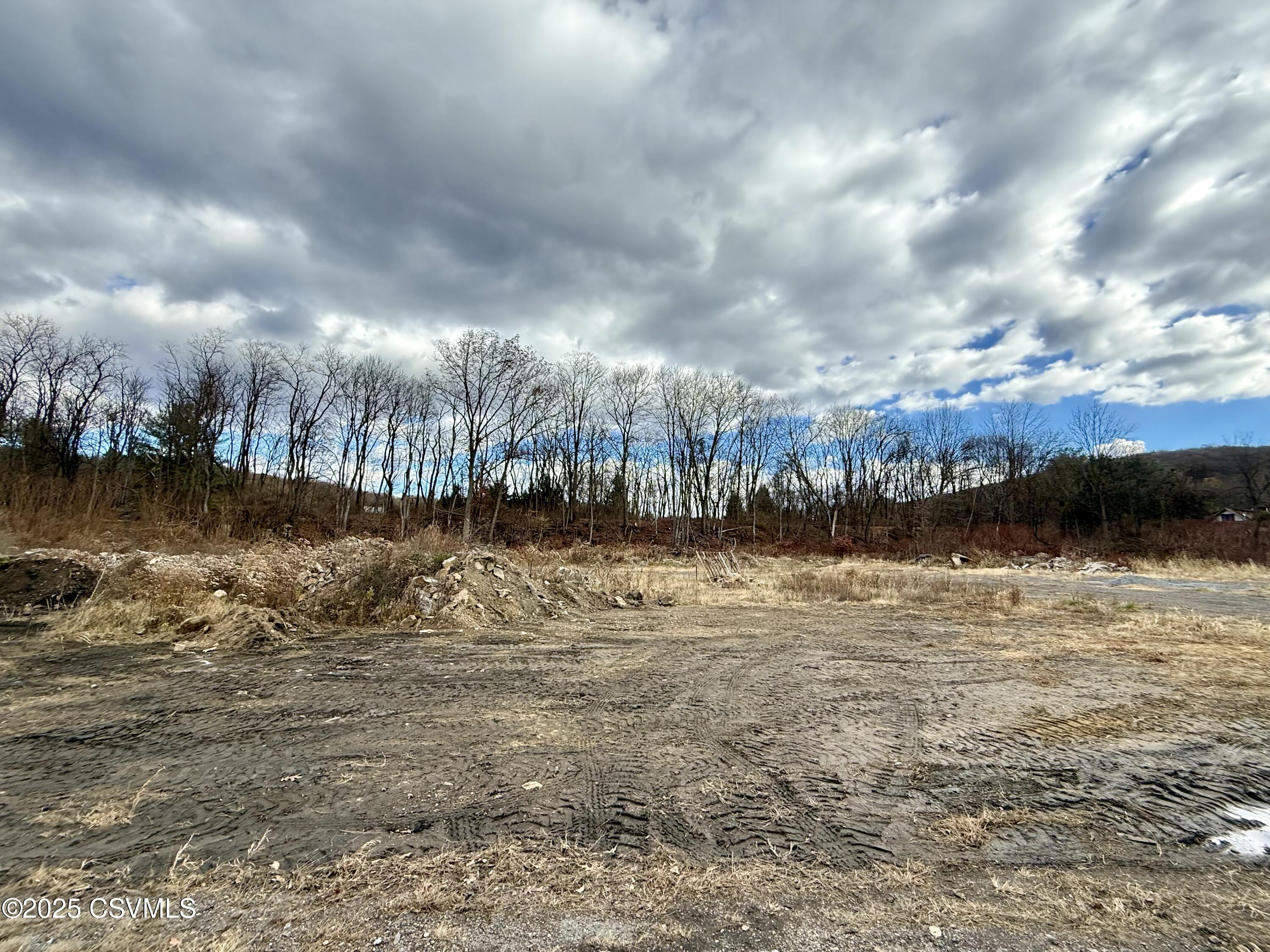 Old Excelsior Road Coal Township, PA 17866 - Photo 6 of 6