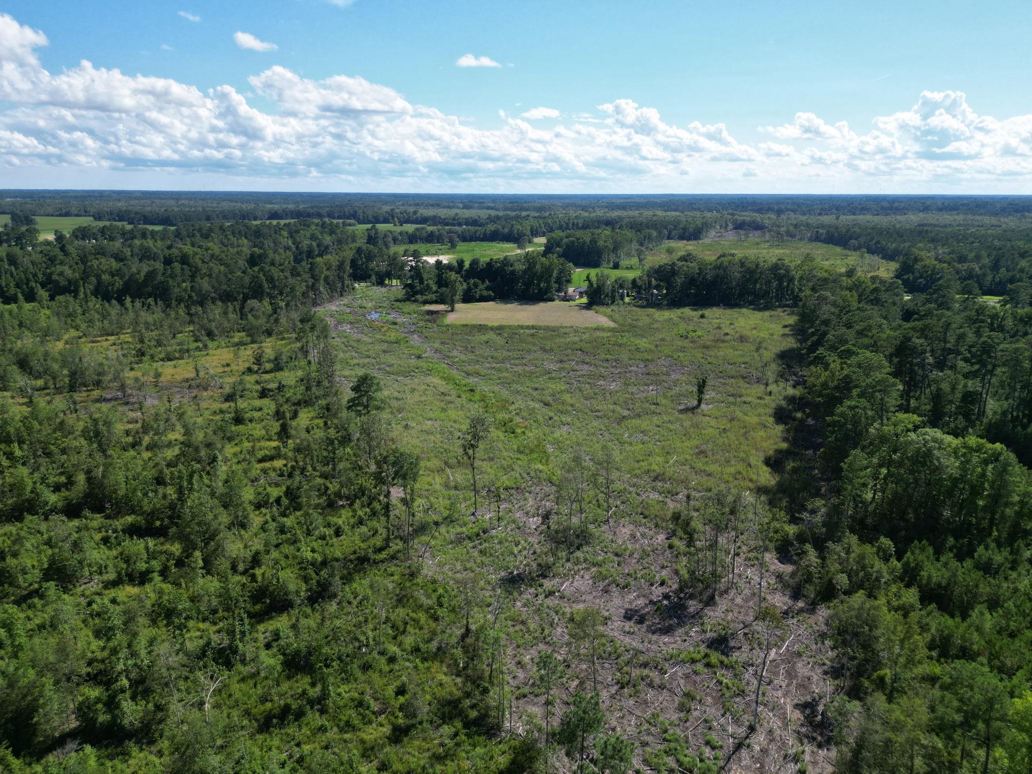 792 Highway 792 Loris, SC 29569 - Photo 16 of 16
