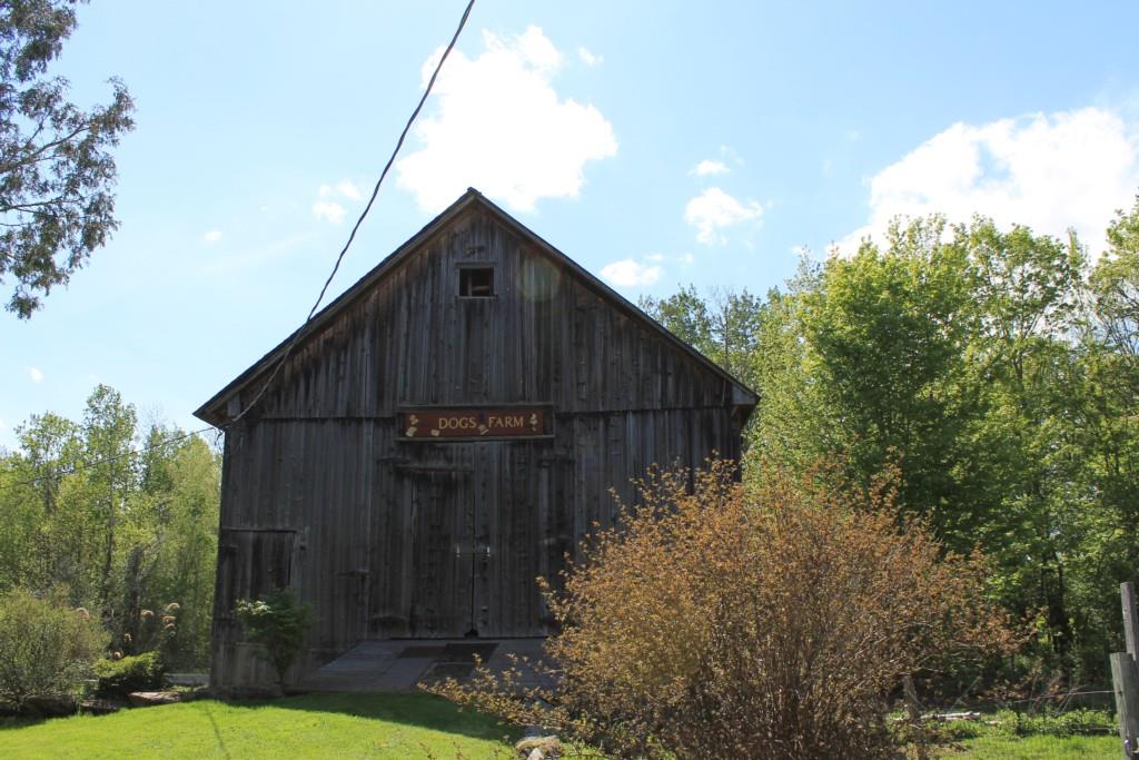 120 Hardwood Flats Road Elmore, VT 05680 - Photo 2 of 12