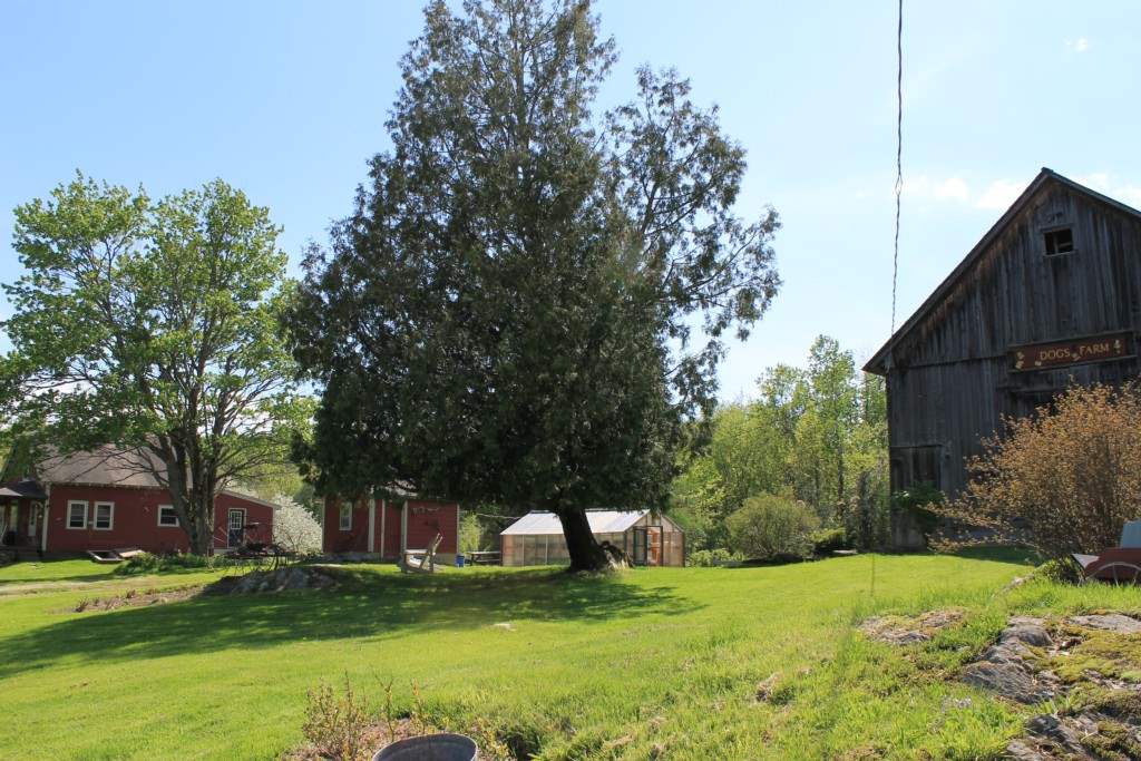 120 Hardwood Flats Road Elmore, VT 05680 - Photo 4 of 12
