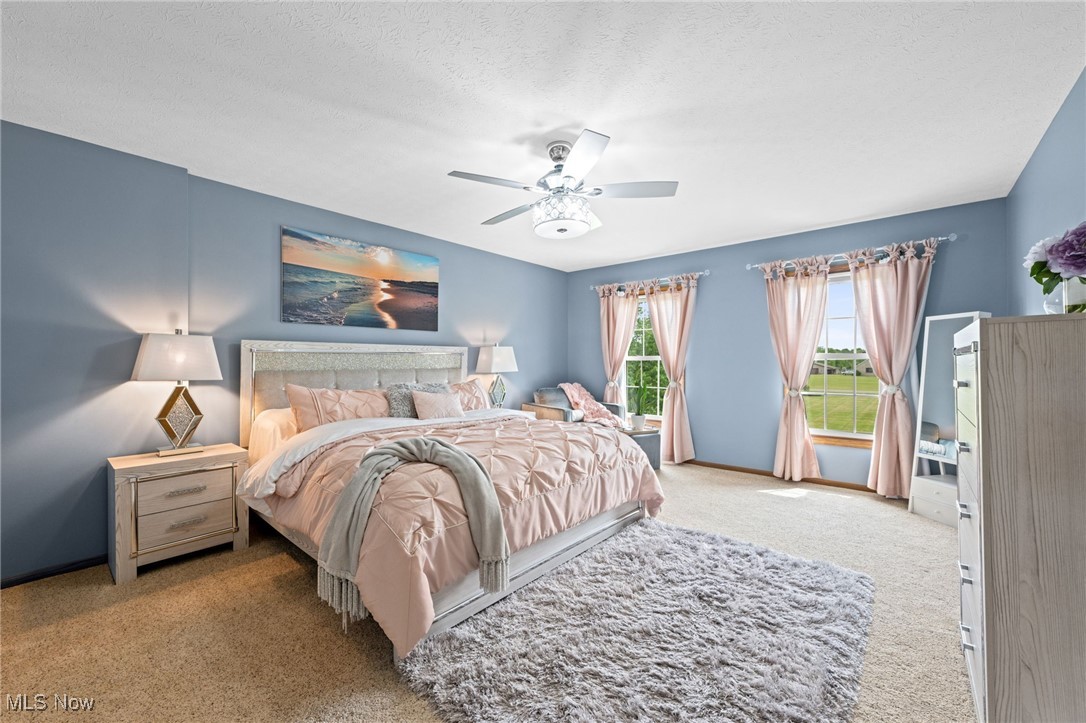 16364 Hallauer Road Oberlin, OH 44074 - Photo 24 of 48 Gallery Image 24