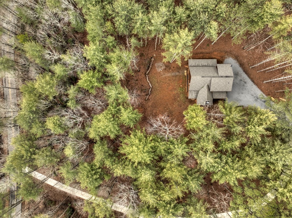 705 George Curtis Road Blue Ridge, GA 30513 - Photo 4 of 49 Gallery Image 4