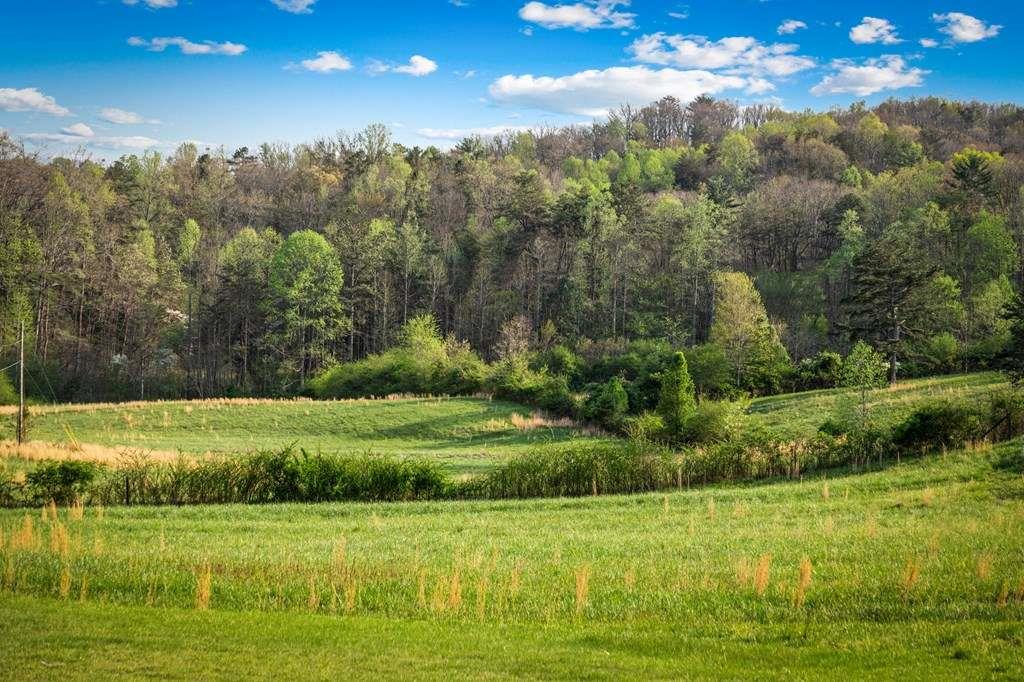 384 Maxwell Road Blue Ridge, GA 30513 - Photo 61 of 68 a view of a grassy field with trees in the background