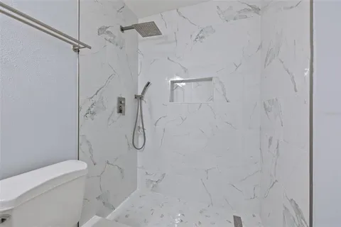 a bathroom with a shower and toilet