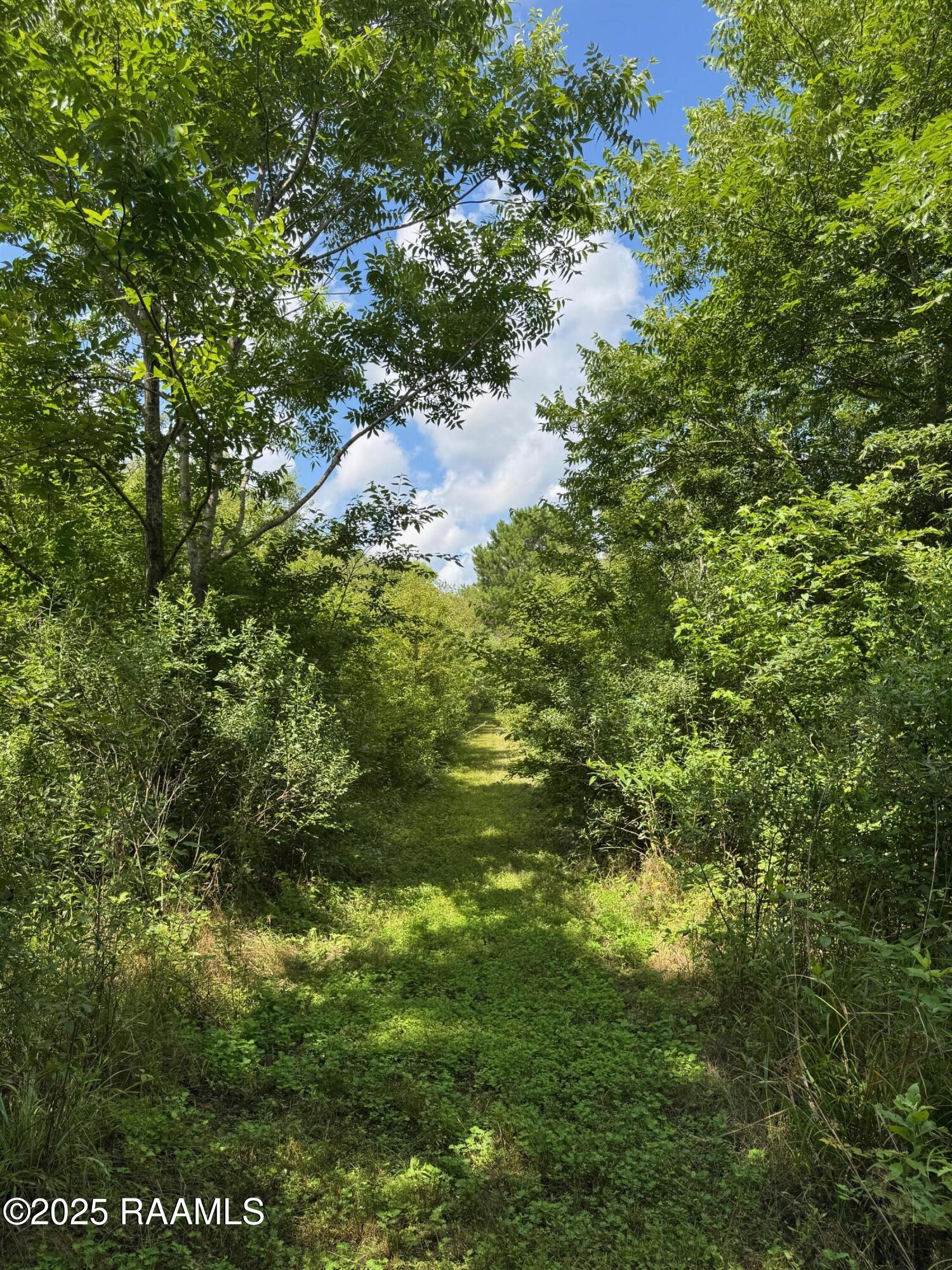 Tbd Frozard Road, Unit 5 Arnaudville, LA 70512 - Photo 11 of 14 IMG_0691
