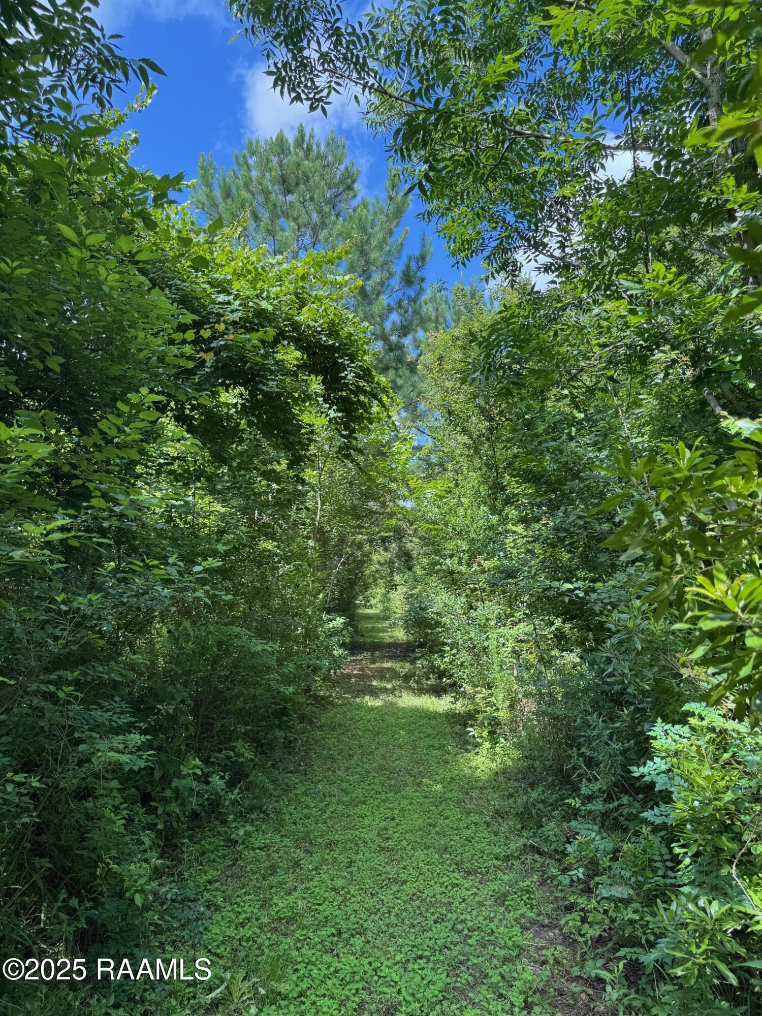 Tbd Frozard Road, Unit 5 Arnaudville, LA 70512 - Photo 2 of 14 IMG_0680